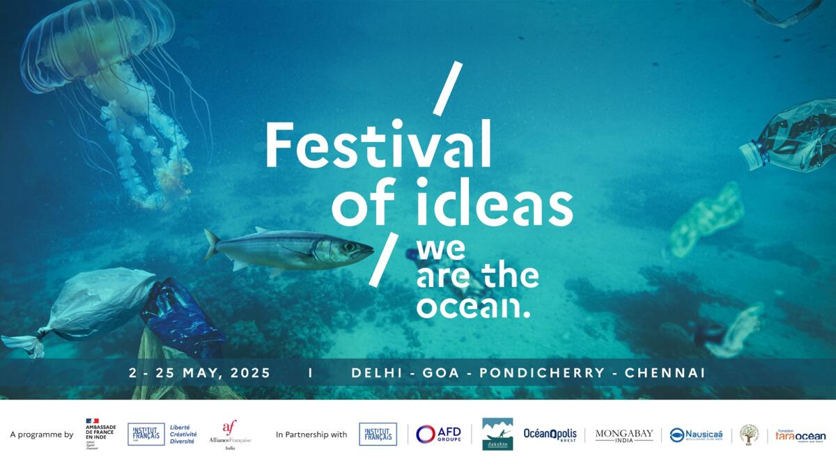 Festival of Ideas - We are the Ocean