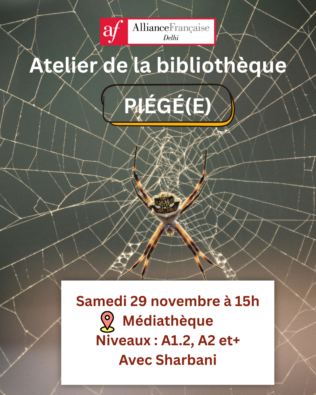 library posters for Instagram Post (3)